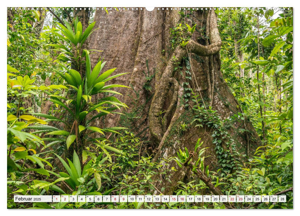 Karibik - Dominica (CALVENDO Premium Wandkalender 2025)