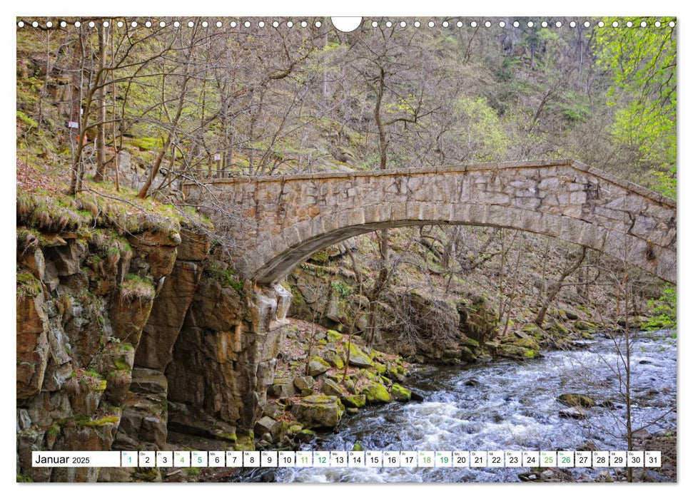 Harz - Ausflugsziele vom Brocken bis Sangerhausen (CALVENDO Wandkalender 2025)