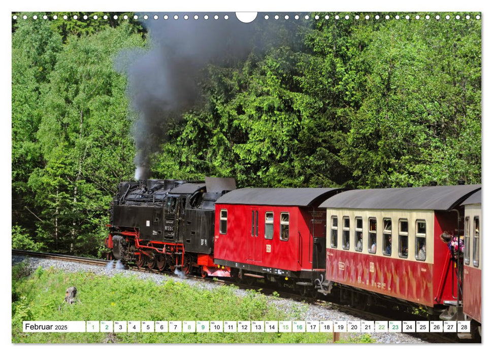 Harz - Ausflugsziele vom Brocken bis Sangerhausen (CALVENDO Wandkalender 2025)