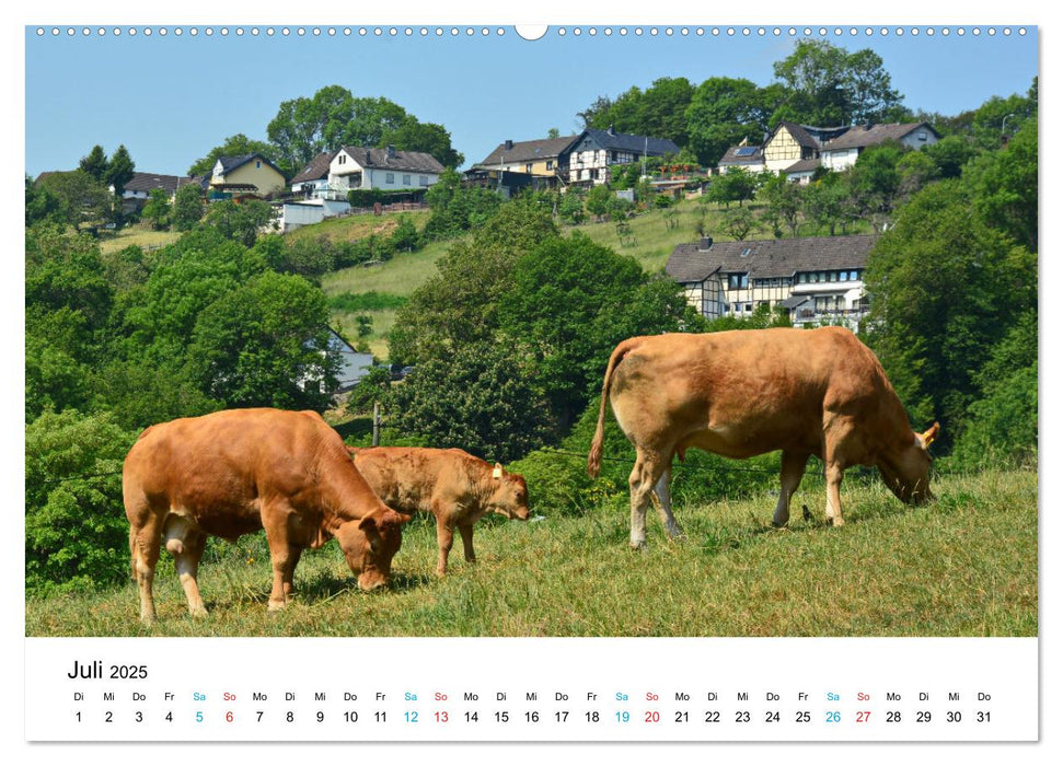 Dedenborn in der Eifel (CALVENDO Premium Wandkalender 2025)