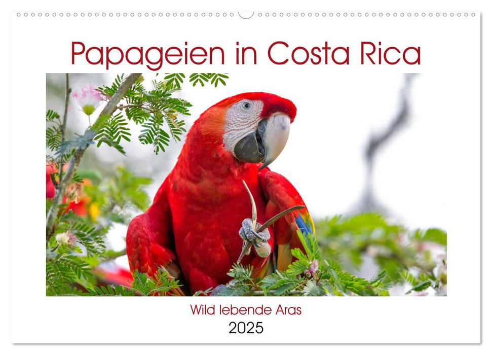 Papageien in Costa Rica (CALVENDO Wandkalender 2025)