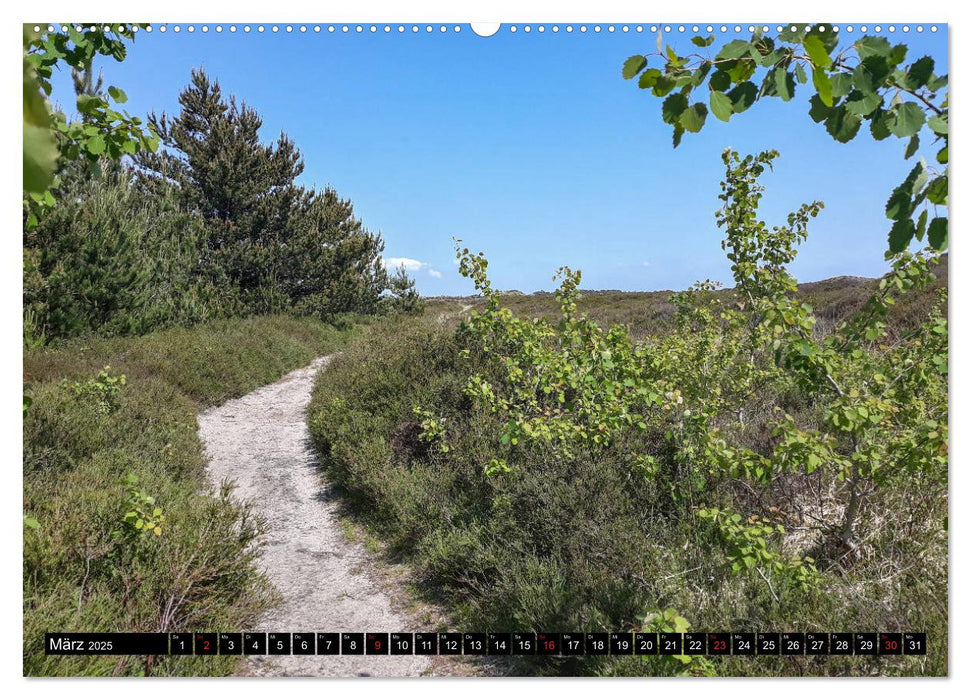 Urlaub auf Römö (CALVENDO Premium Wandkalender 2025)