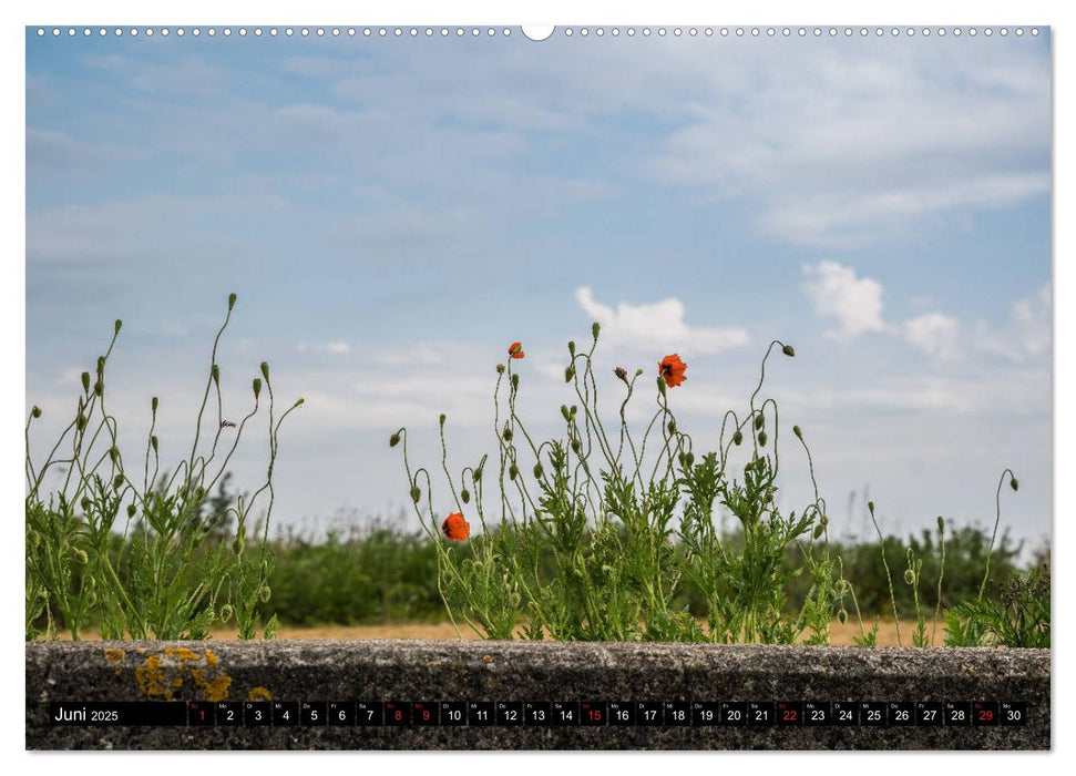 Urlaub auf Römö (CALVENDO Premium Wandkalender 2025)