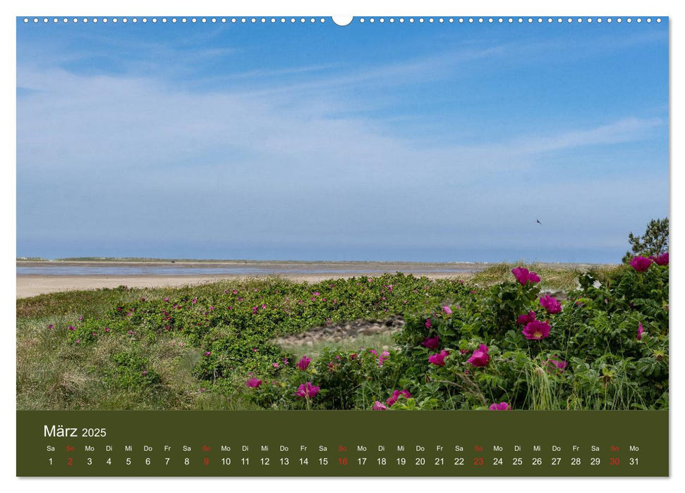 Römö - Wasser, Wind und endloser Strand (CALVENDO Premium Wandkalender 2025)