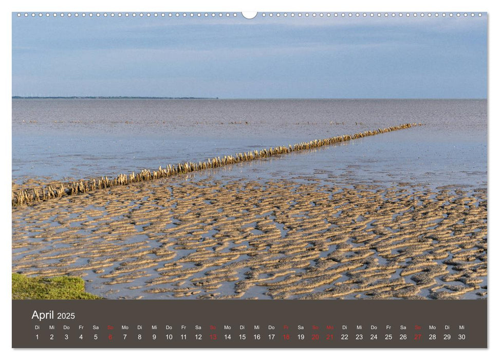 Römö - Wasser, Wind und endloser Strand (CALVENDO Premium Wandkalender 2025)