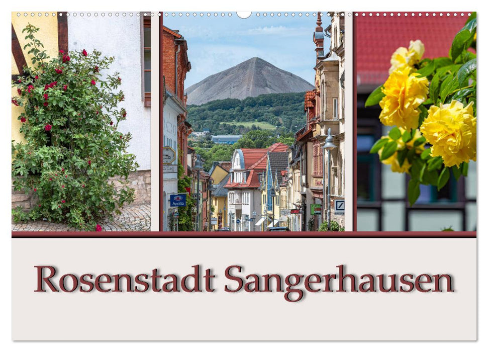 Rosenstadt Sangerhausen (CALVENDO Wandkalender 2025)