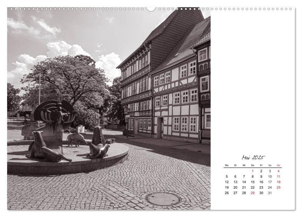 Duderstadt am Harz (CALVENDO Premium Wandkalender 2025)