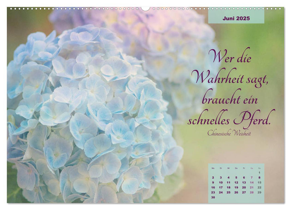 Blüten Symphonien mit Poesie (CALVENDO Premium Wandkalender 2025)