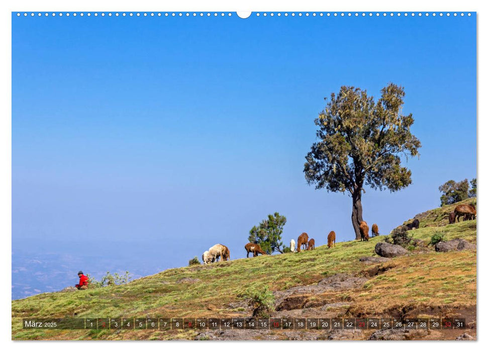 Wandern in Äthiopien (CALVENDO Premium Wandkalender 2025)