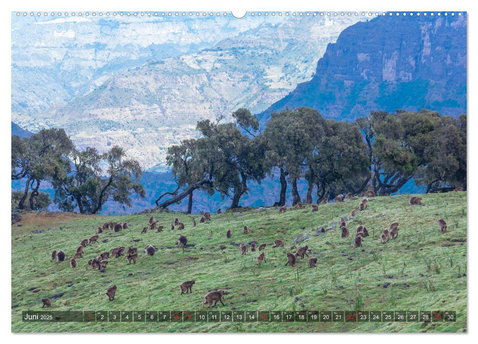 Wandern in Äthiopien (CALVENDO Premium Wandkalender 2025)