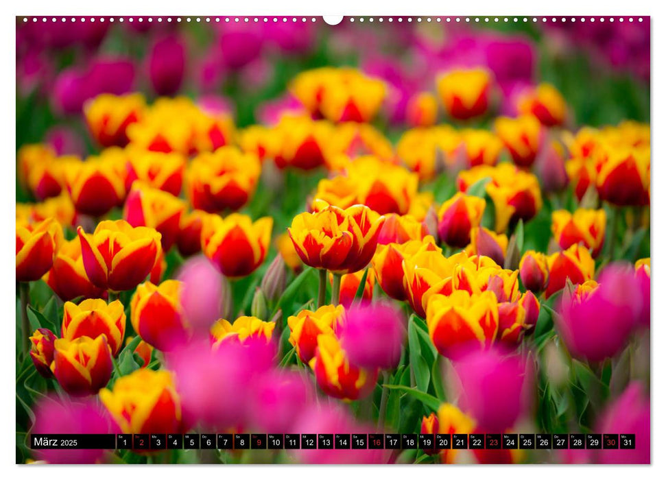 Kleine Blumen ganz groß (CALVENDO Premium Wandkalender 2025)