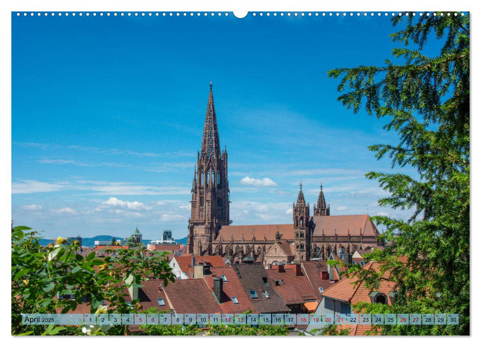 Freiburg im Breisgau - Die Schwarzwaldmetropole (CALVENDO Wandkalender 2025)