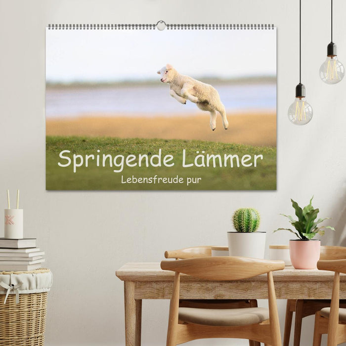 Springende Lämmer: Lebensfreude pur (CALVENDO Wandkalender 2025)