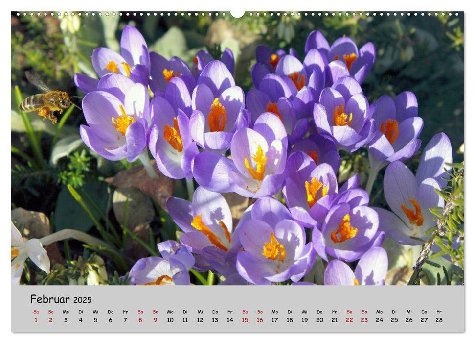 Blumen überall, zur Freude Menschen (CALVENDO Premium Wandkalender 2025)