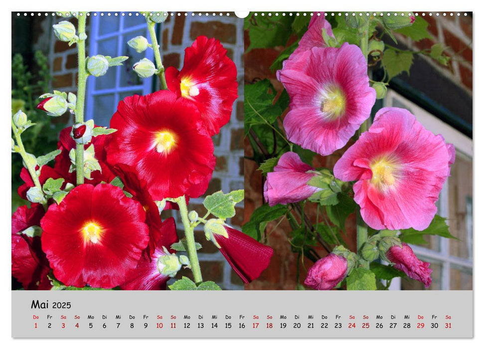 Blumen überall, zur Freude Menschen (CALVENDO Premium Wandkalender 2025)