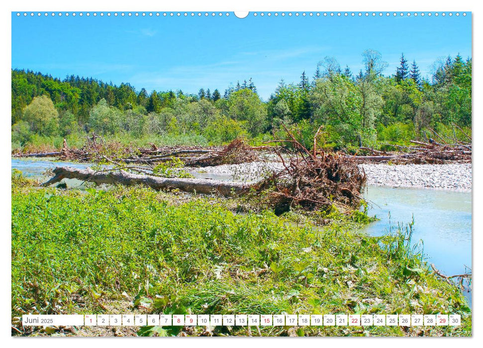 Die Geretsrieder Isarauen - Auwald und Isar im Naturschutzgebiet (CALVENDO Premium Wandkalender 2025)