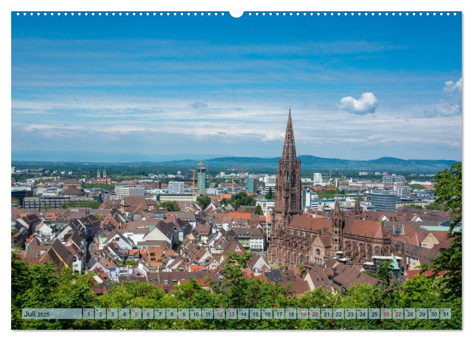 Freiburg im Breisgau - Die Schwarzwaldmetropole (CALVENDO Premium Wandkalender 2025)