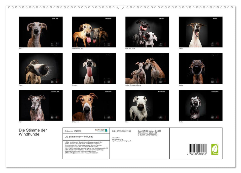 Die Stimme der Windhunde (CALVENDO Premium Wandkalender 2025)