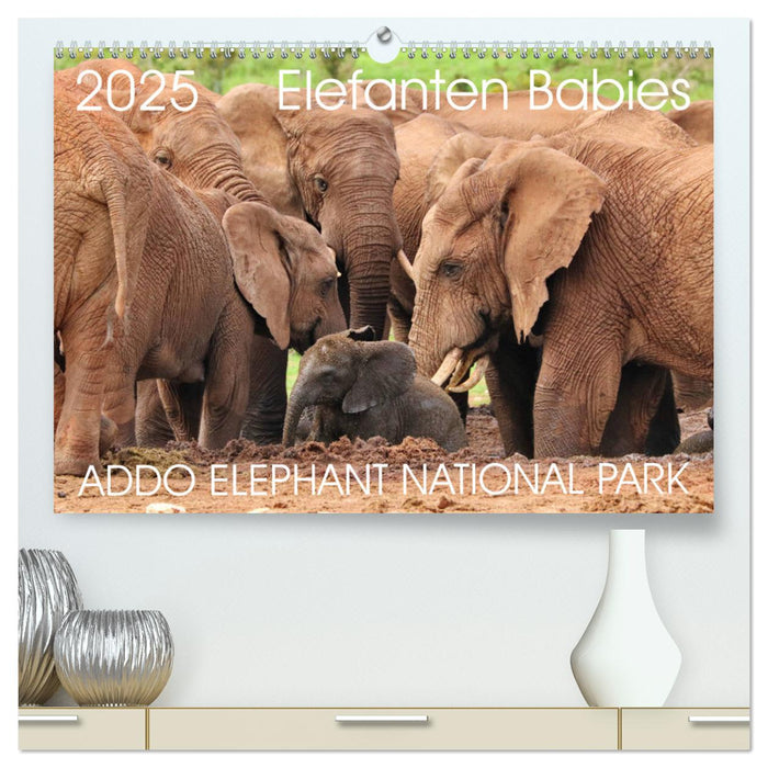 ADDO ELEPHANT NATIONAL PARK Elefanten Babies (CALVENDO Premium Wandkalender 2025)