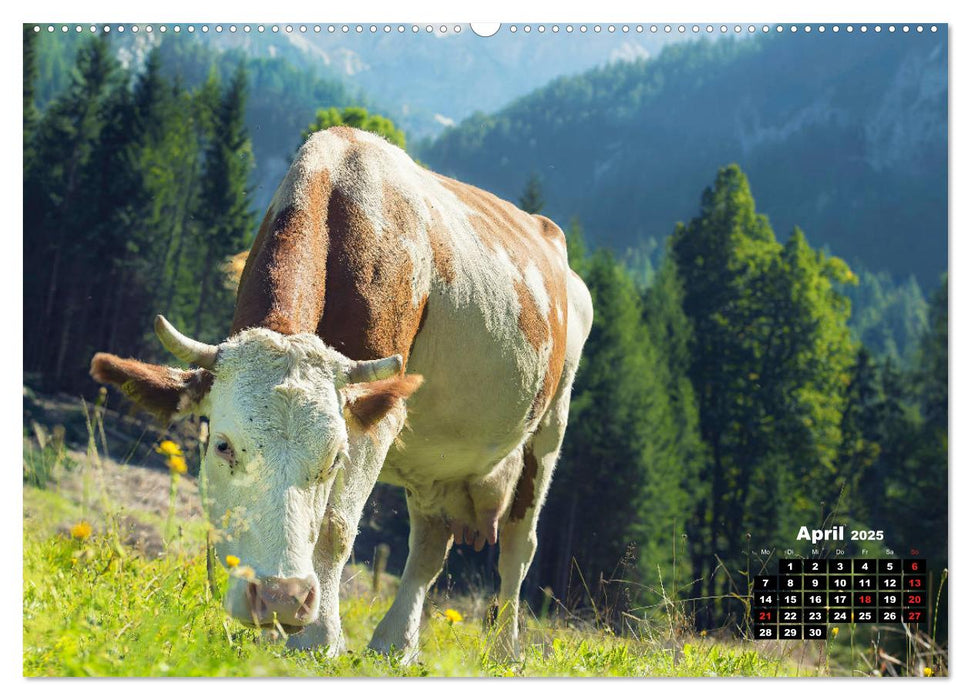 Berge um Kranjska Gora - die Lust zum Wandern (CALVENDO Wandkalender 2025)