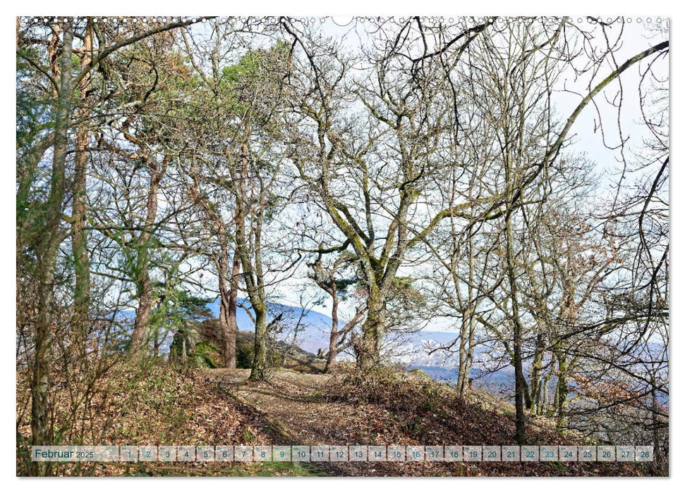 Kostbares Kelkheim - Idylle am Taunus (CALVENDO Premium Wandkalender 2025)