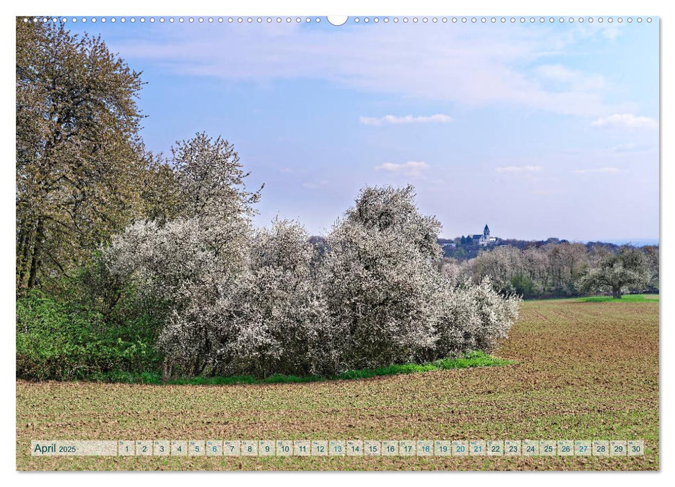 Kostbares Kelkheim - Idylle am Taunus (CALVENDO Premium Wandkalender 2025)