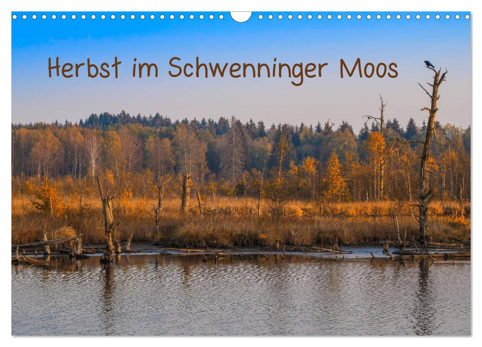 Herbst im Schwenninger Moos (CALVENDO Wandkalender 2025)