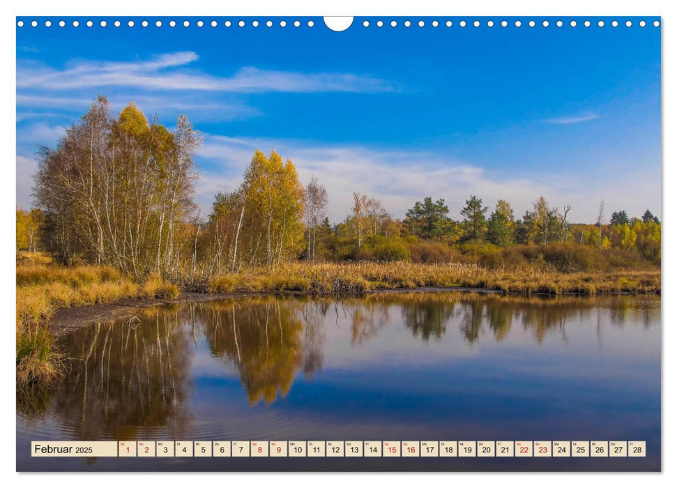 Herbst im Schwenninger Moos (CALVENDO Wandkalender 2025)