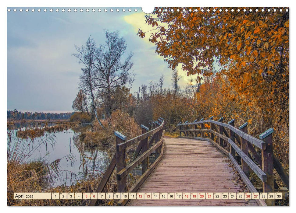 Herbst im Schwenninger Moos (CALVENDO Wandkalender 2025)