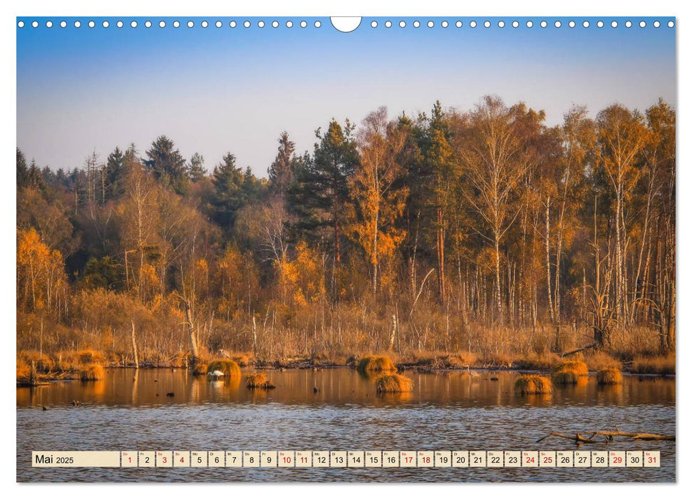 Herbst im Schwenninger Moos (CALVENDO Wandkalender 2025)