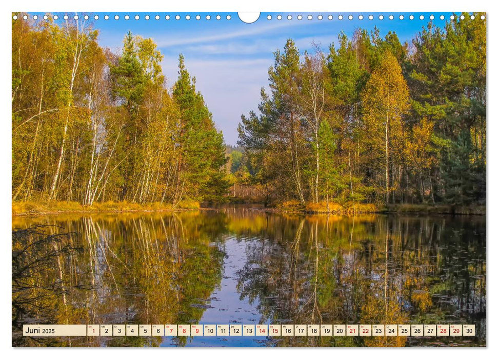 Herbst im Schwenninger Moos (CALVENDO Wandkalender 2025)