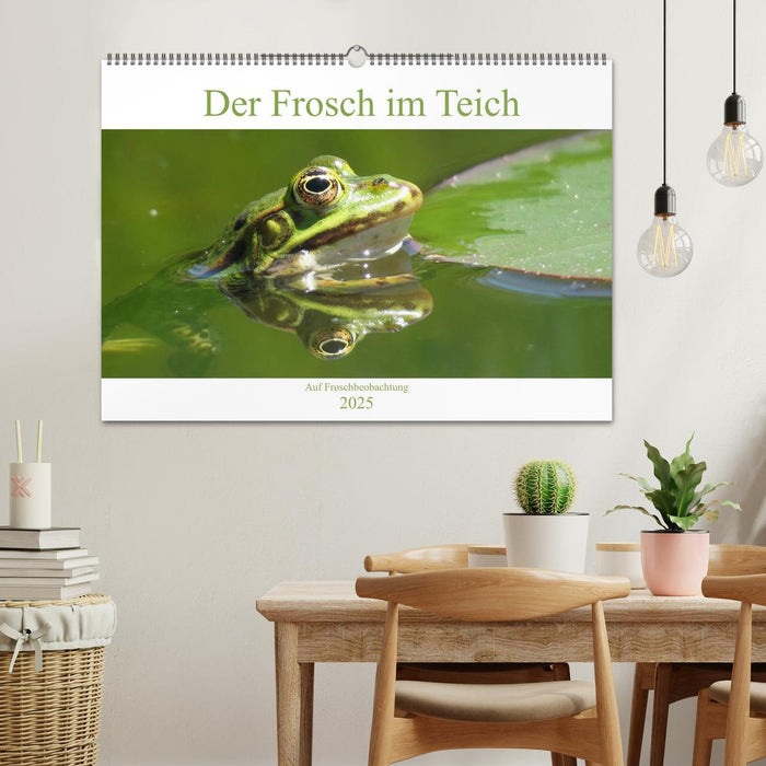 Der Frosch im Teich - auf Froschbeobachtung (CALVENDO Wandkalender 2025)