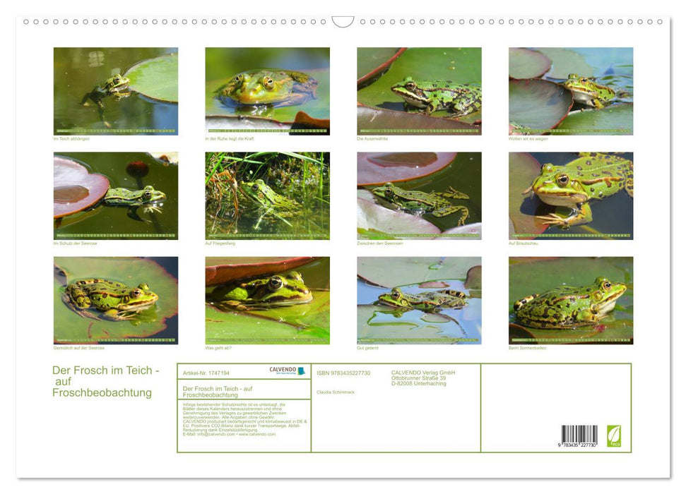 Der Frosch im Teich - auf Froschbeobachtung (CALVENDO Wandkalender 2025)