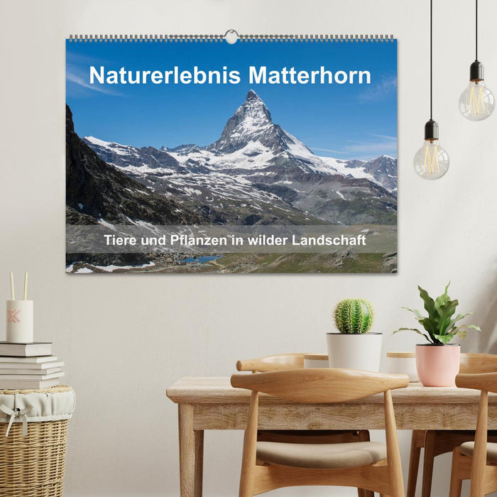 Naturerlebnis Matterhorn (CALVENDO Wandkalender 2025)