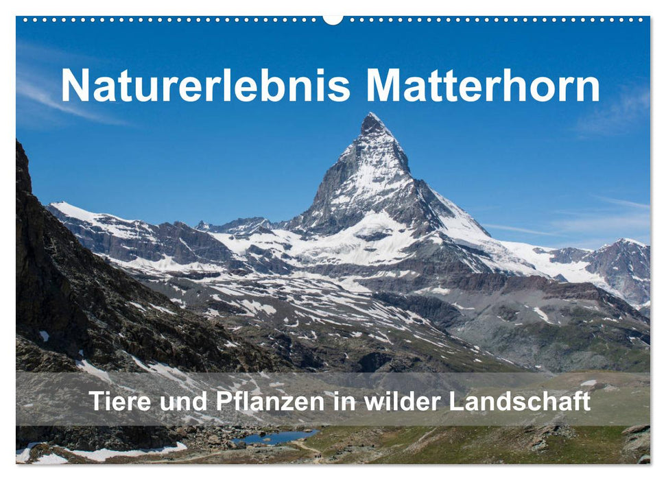 Naturerlebnis Matterhorn (CALVENDO Wandkalender 2025)