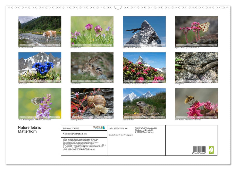 Naturerlebnis Matterhorn (CALVENDO Wandkalender 2025)