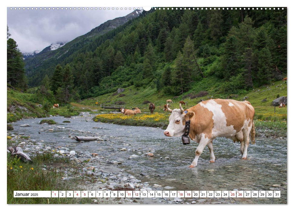 Naturerlebnis Matterhorn (CALVENDO Wandkalender 2025)