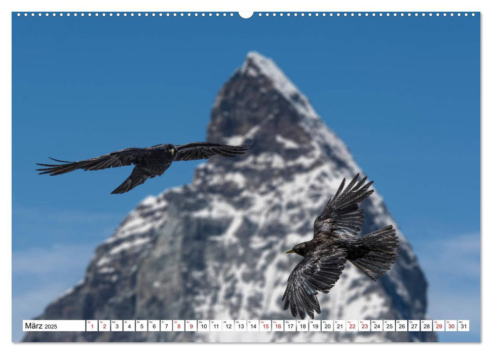 Naturerlebnis Matterhorn (CALVENDO Wandkalender 2025)