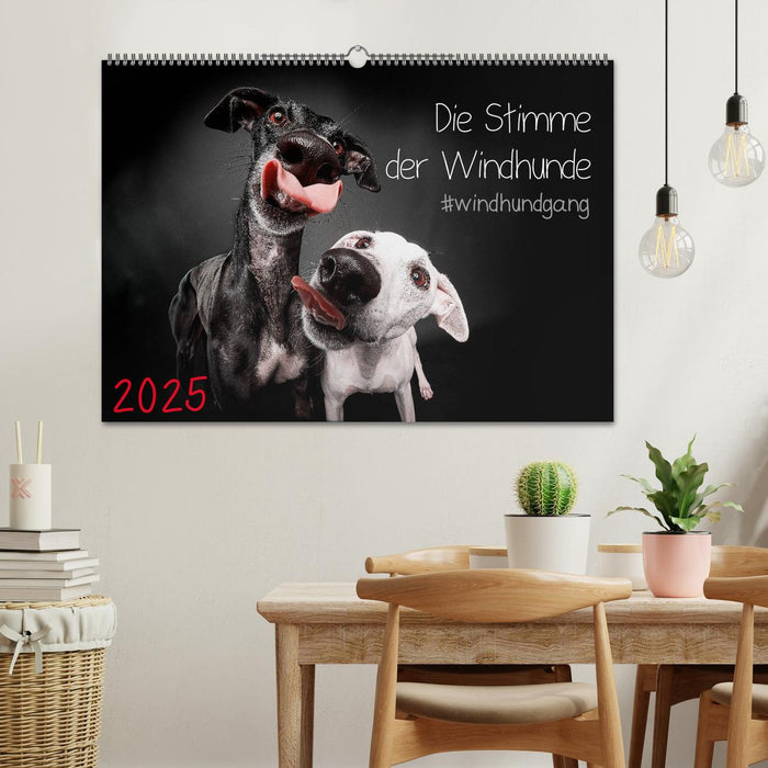 Die Stimme der Windhunde (CALVENDO Wandkalender 2025)