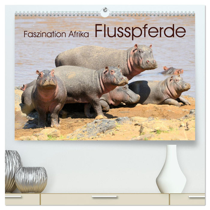 Faszination Afrika: Flusspferde (CALVENDO Premium Wandkalender 2025)