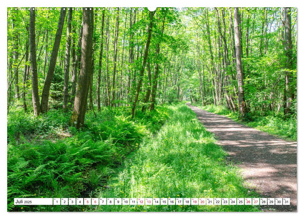 Zauberhafte Natur entlang der Schwalm (CALVENDO Premium Wandkalender 2025)