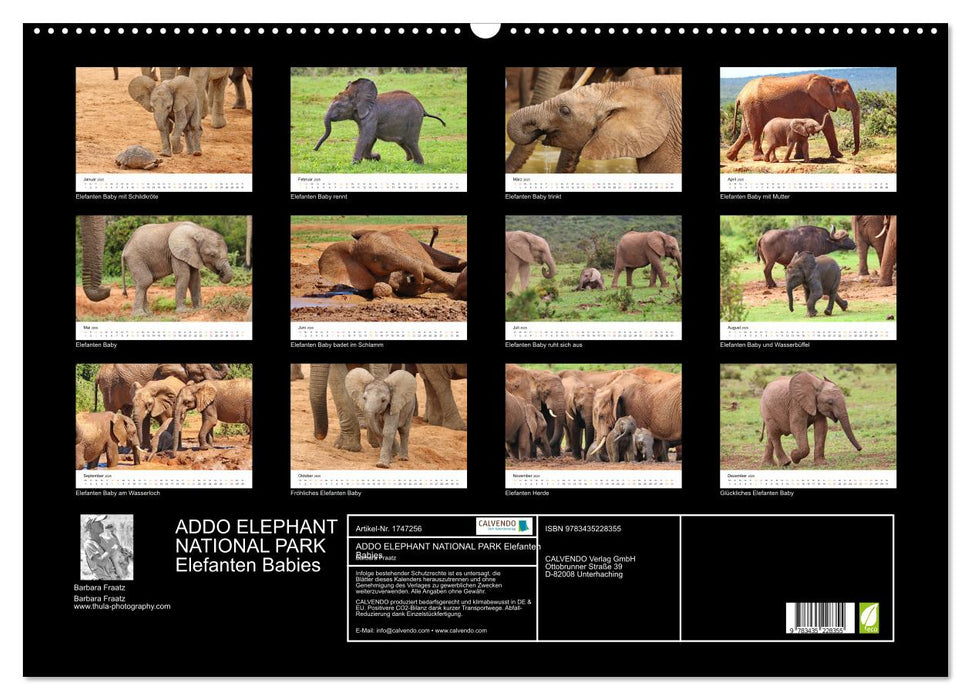 ADDO ELEPHANT NATIONAL PARK Elefanten Babies (CALVENDO Wandkalender 2025)