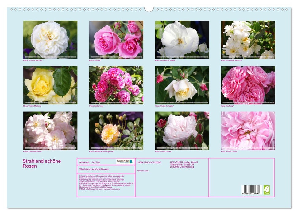 Strahlend schöne Rosen (CALVENDO Wandkalender 2025)