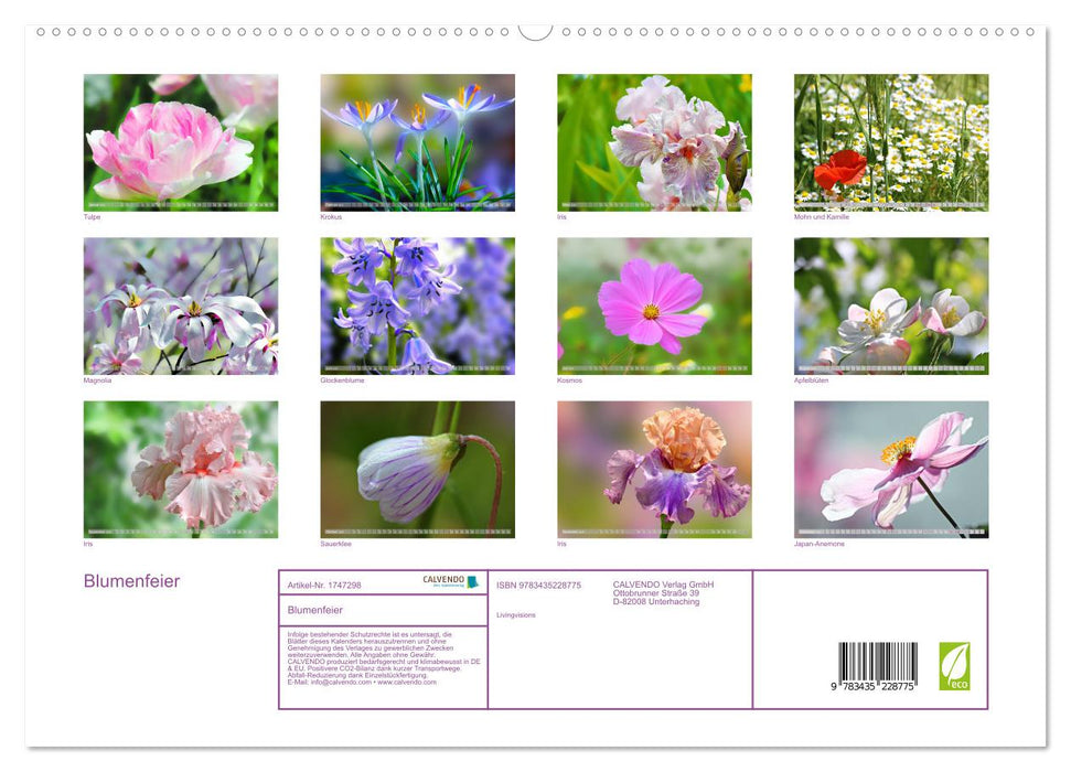 Blumenfeier (CALVENDO Premium Wandkalender 2025)