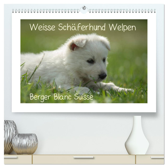 Weisse Schäferhund Welpen - Berger Blanc Suisse (CALVENDO Premium Wandkalender 2025)