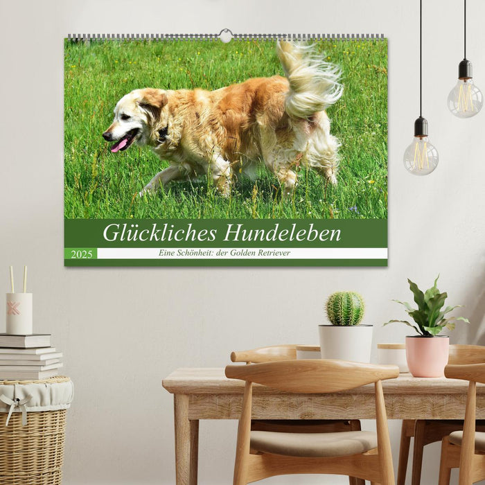 Glückliches Hundeleben (CALVENDO Wandkalender 2025)