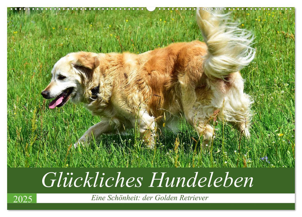 Glückliches Hundeleben (CALVENDO Wandkalender 2025)