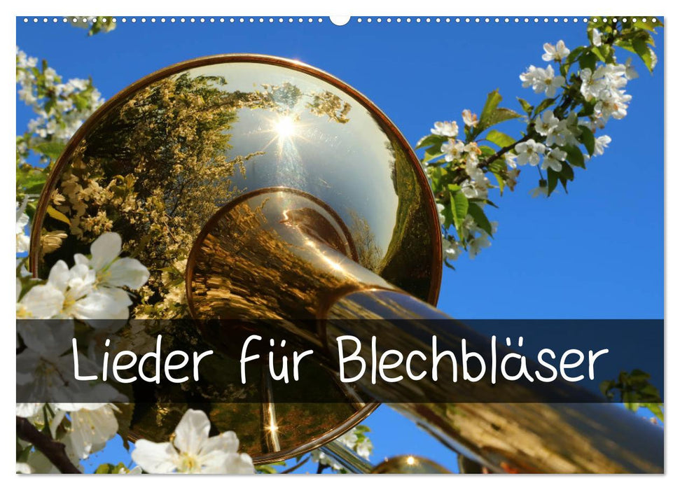 Lieder für Blechbläser (CALVENDO Wandkalender 2025)