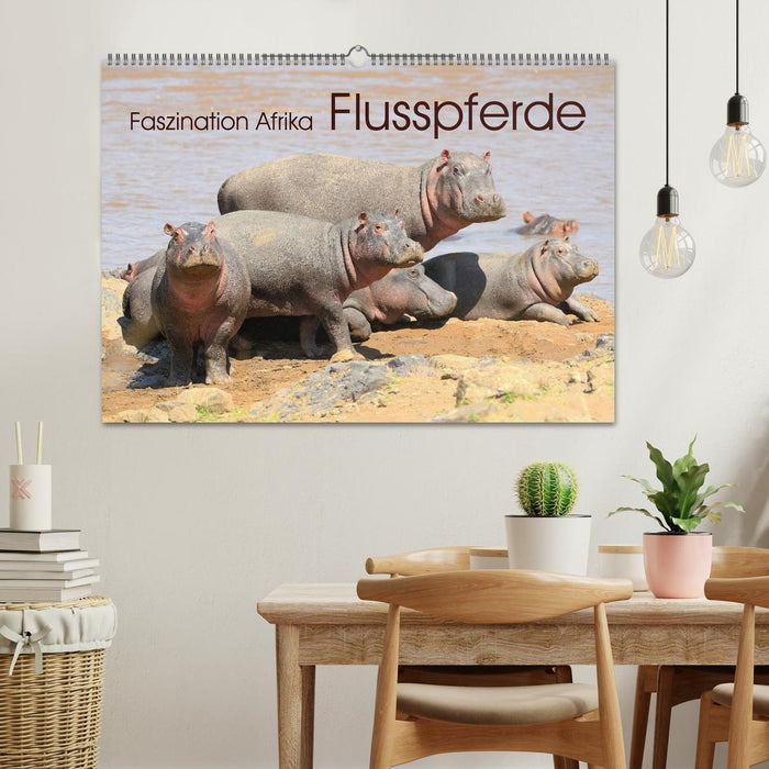 Faszination Afrika: Flusspferde (CALVENDO Wandkalender 2025)