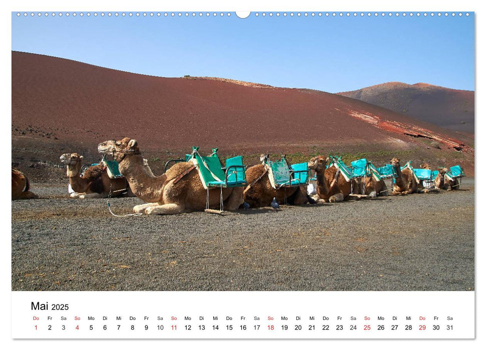 Lanzarote - Einzigartige Landschaften (CALVENDO Premium Wandkalender 2025)